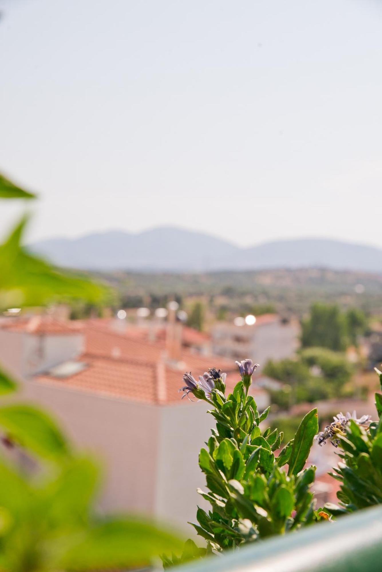 Apartment Nesto Athens Airport Den